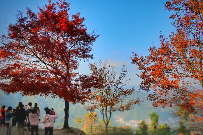 湖州周日游玩攻略推荐,湖州出游推荐