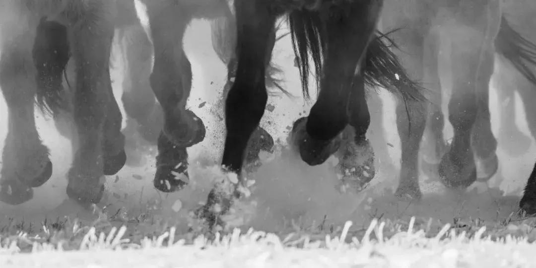 影博会,影展展会