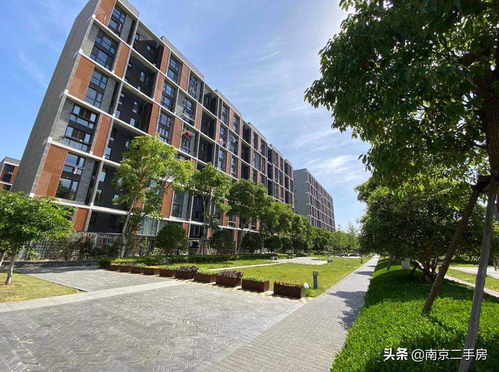 凭实力吸粉!成交破4万/㎡,实探百家湖“网红”神盘