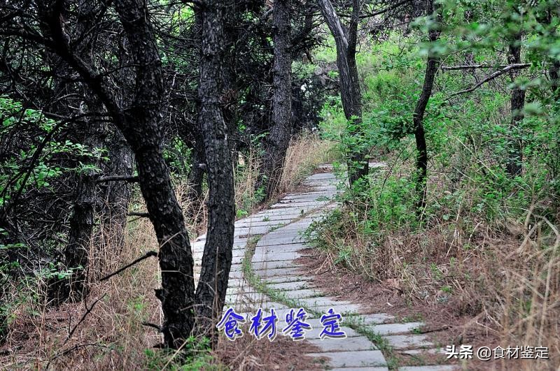 沈阳周边自然风光一日游的地方,沈阳隐秘的地方