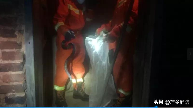 蛇蛇出没？莫慌！萍乡消防送你保命锦囊