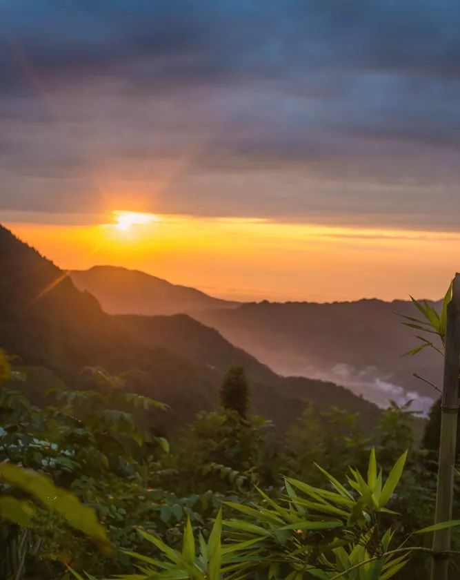 1h飚拢！千年银杏、云海星空、木屋烧烤……这条路线9……