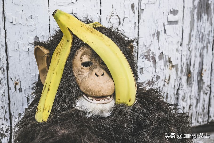 生活精致的人懂得取舍,生活中的精致小常识