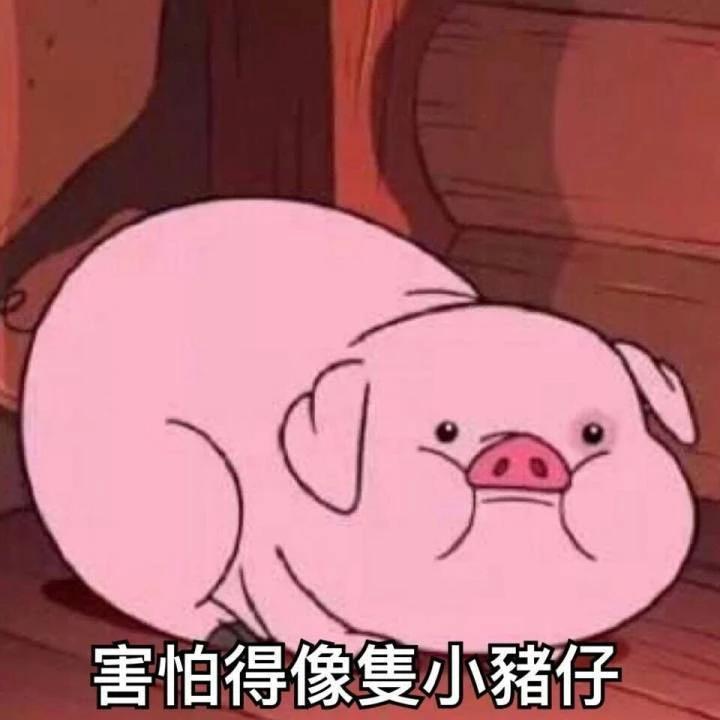 属猪的人善良忠厚老实重感情,属猪人心软不记仇善良重感情