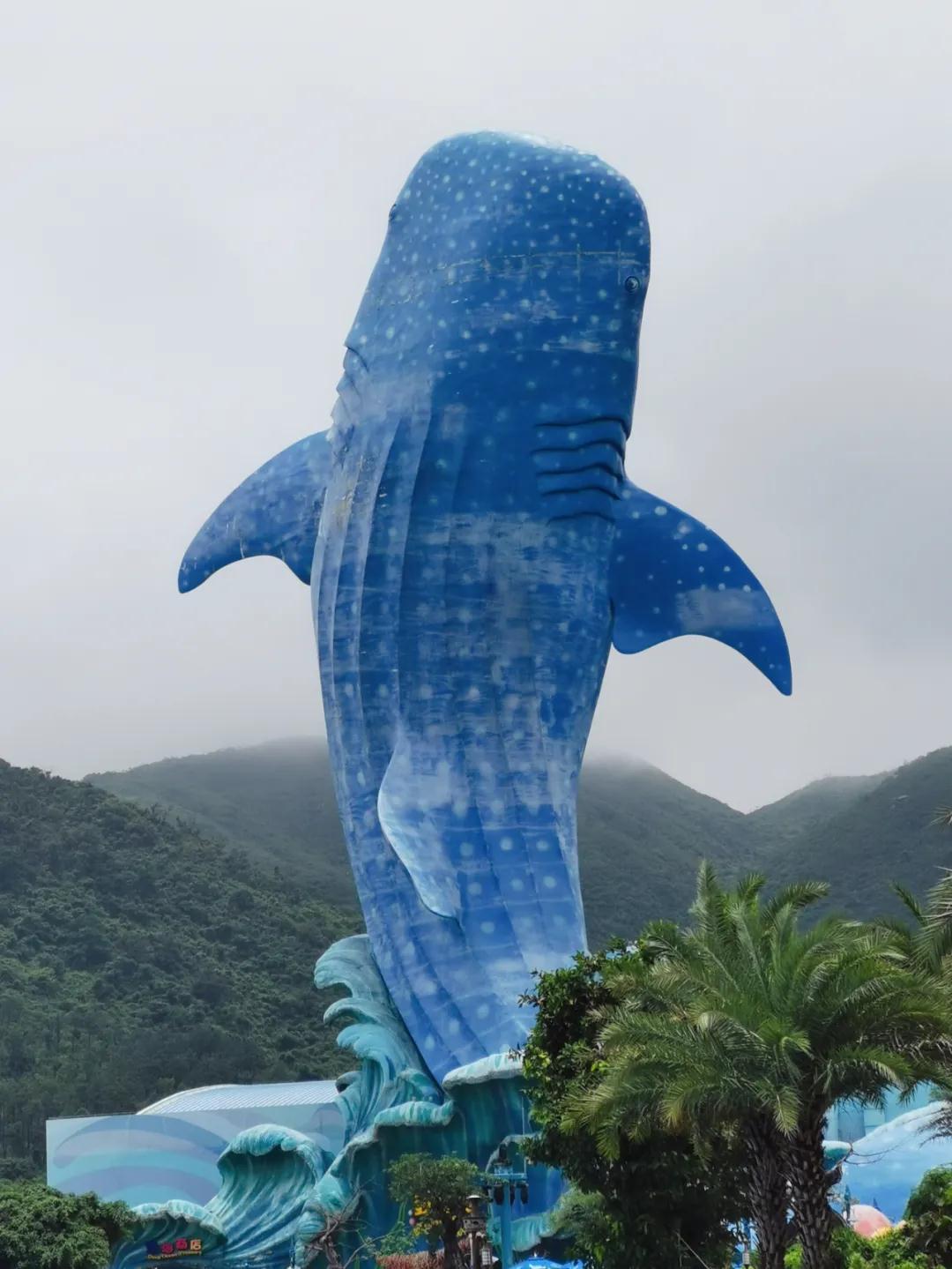 横琴奏一曲：瑜家的温馨丨初夏.珠海后花园畅游记