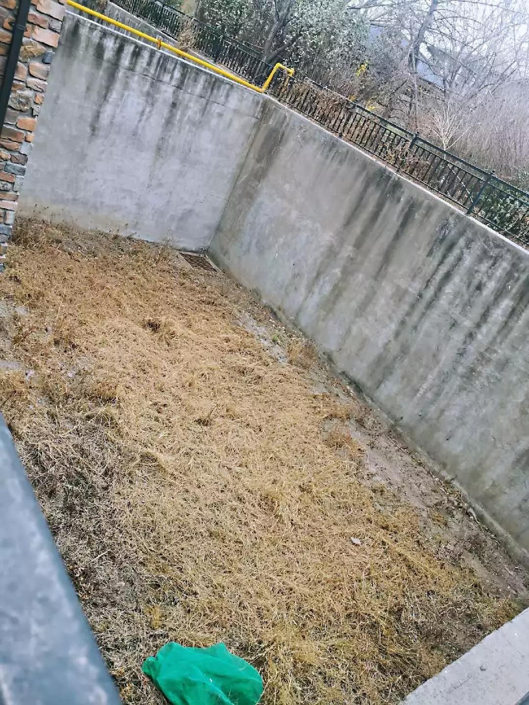 武清沉寂了6年的纯别墅社区，最近你被他.....