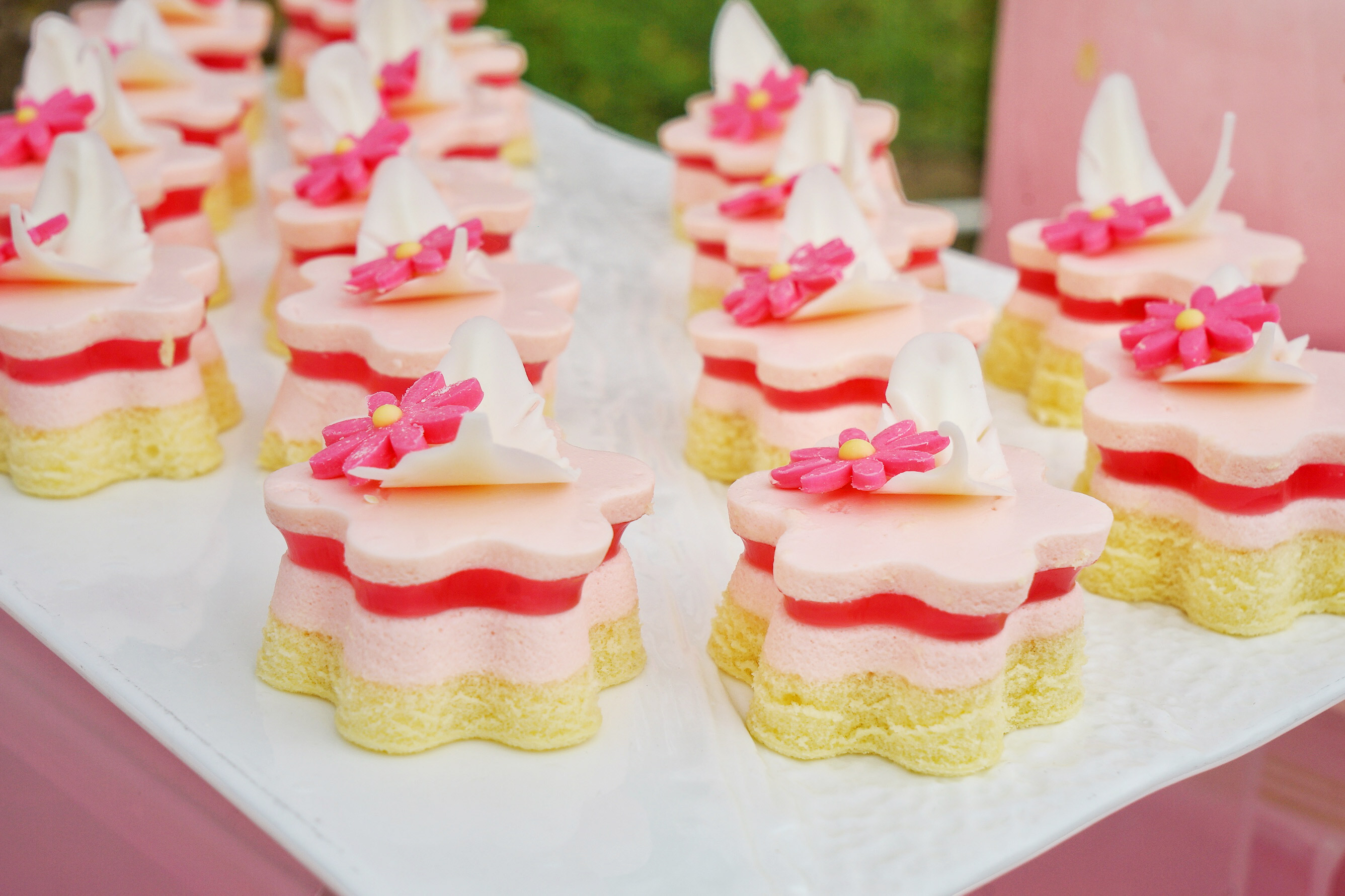 广州粉色浪漫花海,广东秋天粉色花海