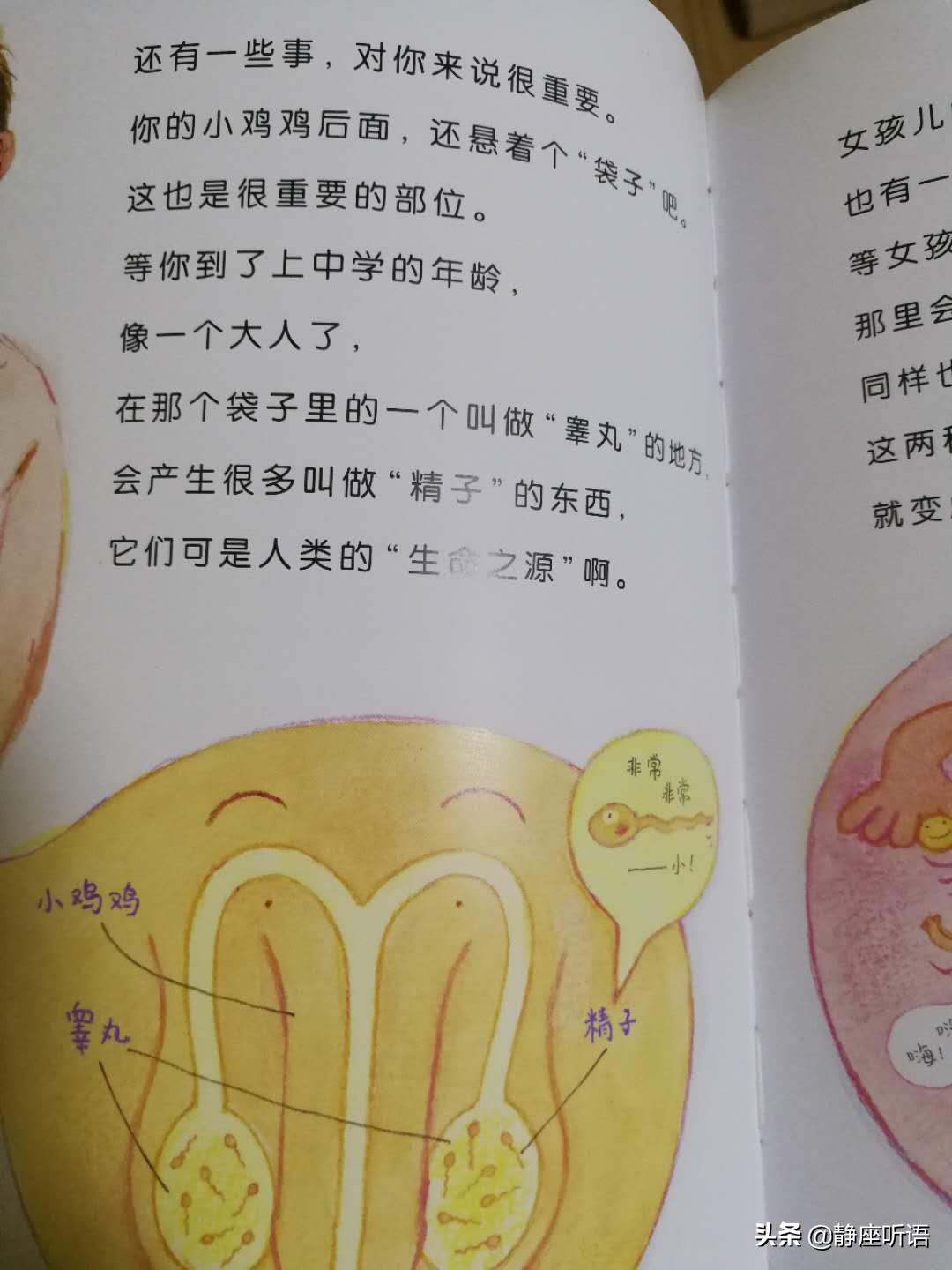 小孩天天说屎尿屁怎么办,孩子说话离不开屎尿屁