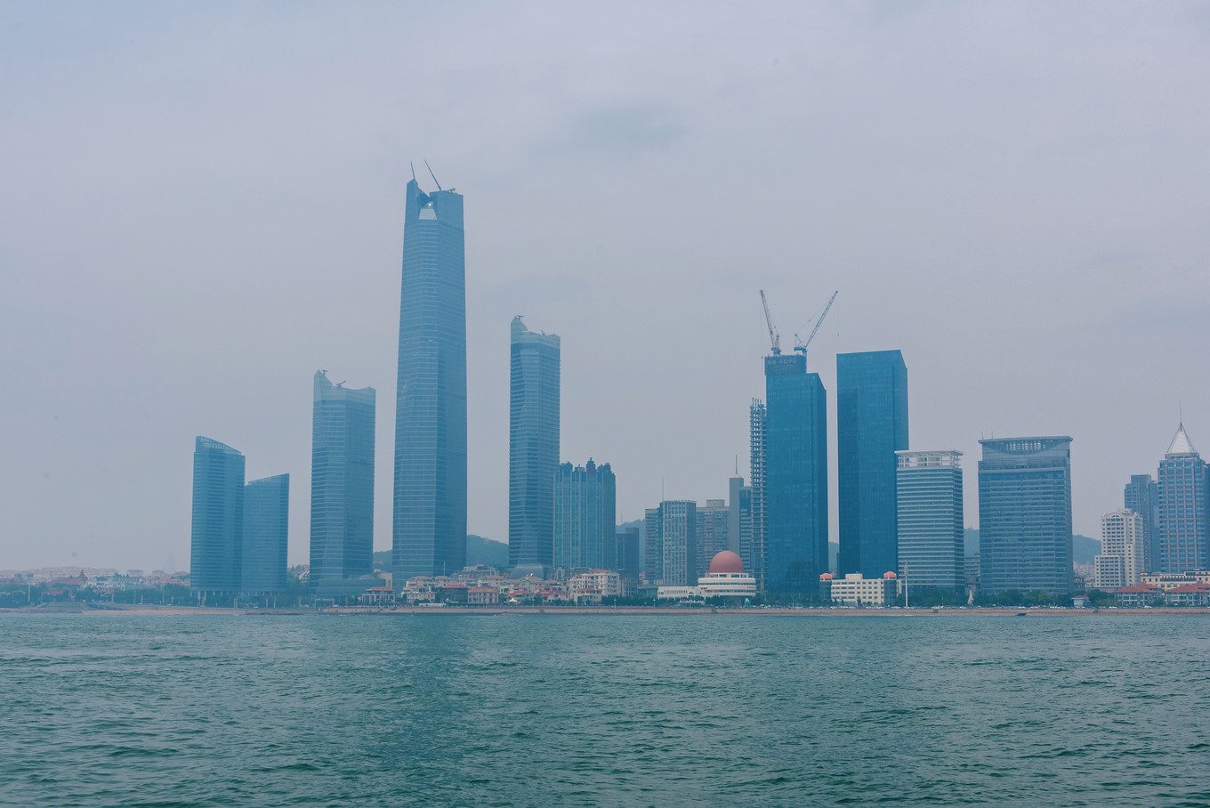 度假的袋鼠,青岛旅行的袋鼠