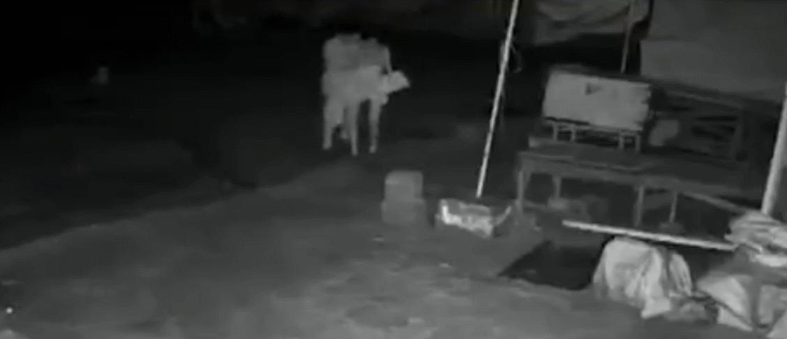 夜晚女生一定要保护好自己,女孩子深夜要注意保护自己