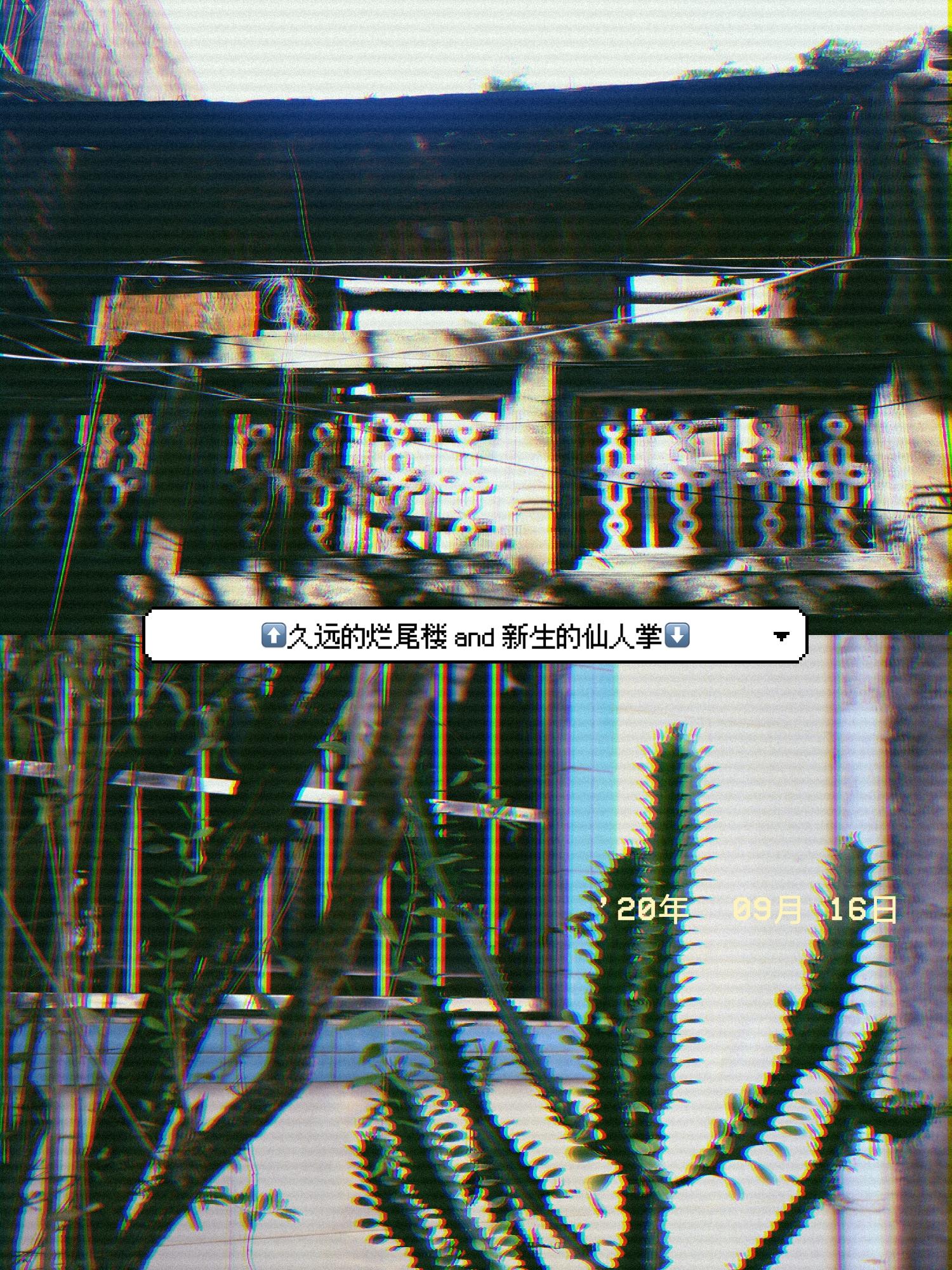 三亚红沙月饼酥皮配方,海南有名的红沙月饼