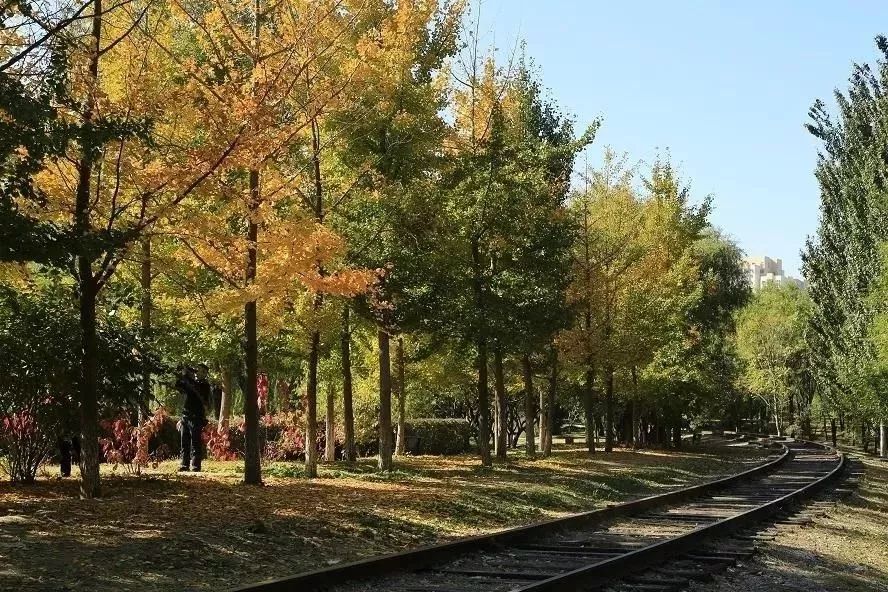 2022年北京新建公园,北京新建公园排行榜