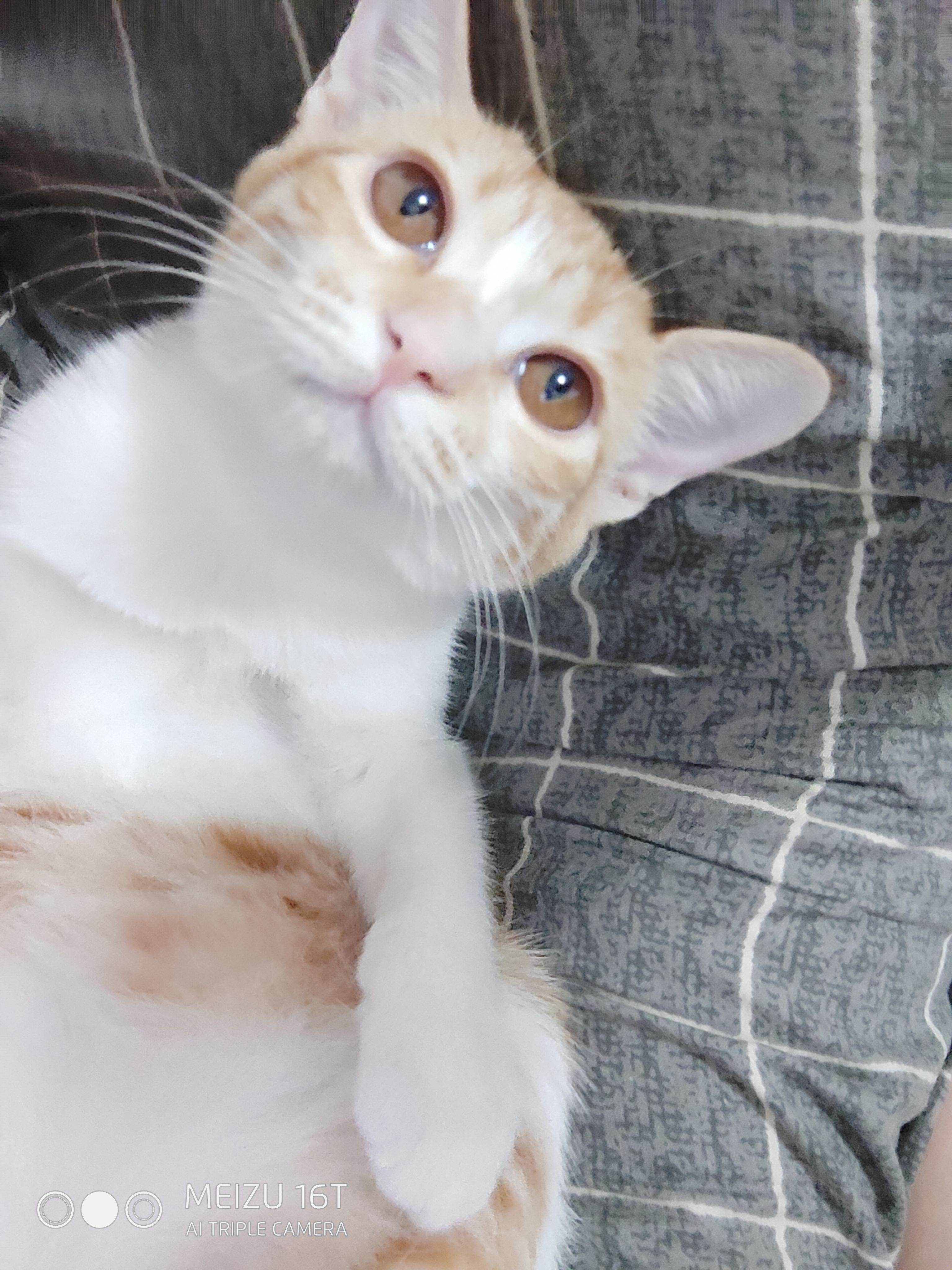 榄呮棌16t鍔熻兘璇︾粏璇勬祴,榄呮棌16t娣卞害淇″彿璇勬祴