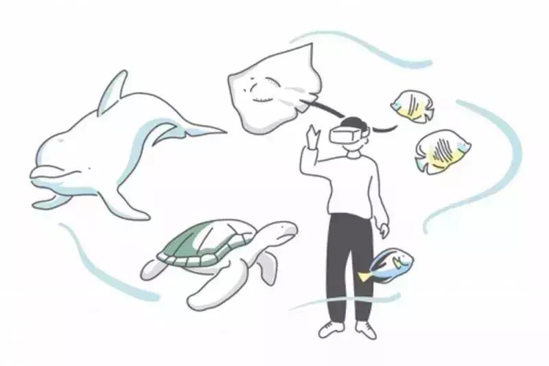 难得一见海洋动物表演,看不完的海洋动物和表演