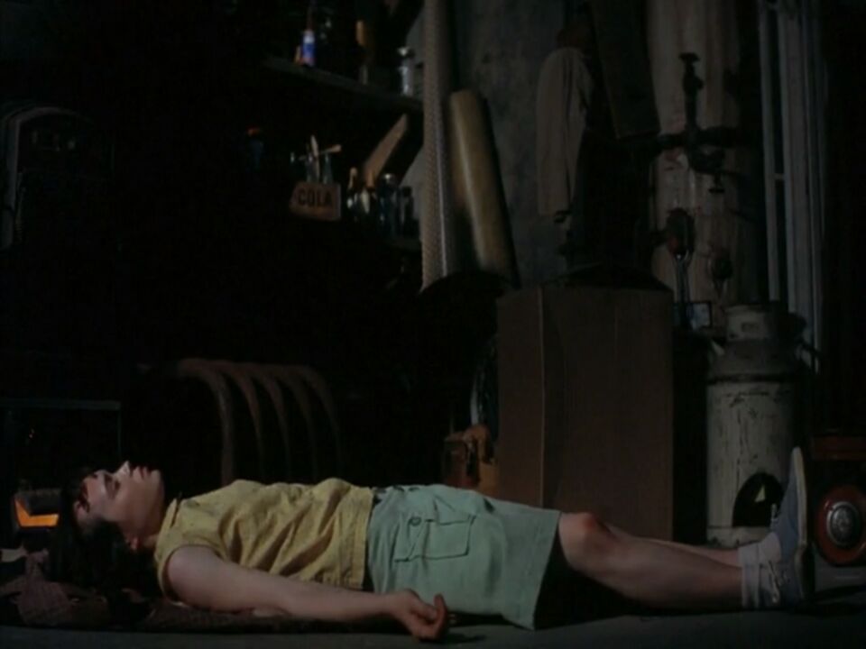 虐待儿童死亡美国,美国历史上的最恐怖的变态杀人案