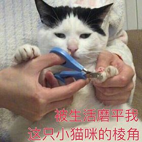 早上好真实会动的动态表情包,当代年轻人的真实现状表情包