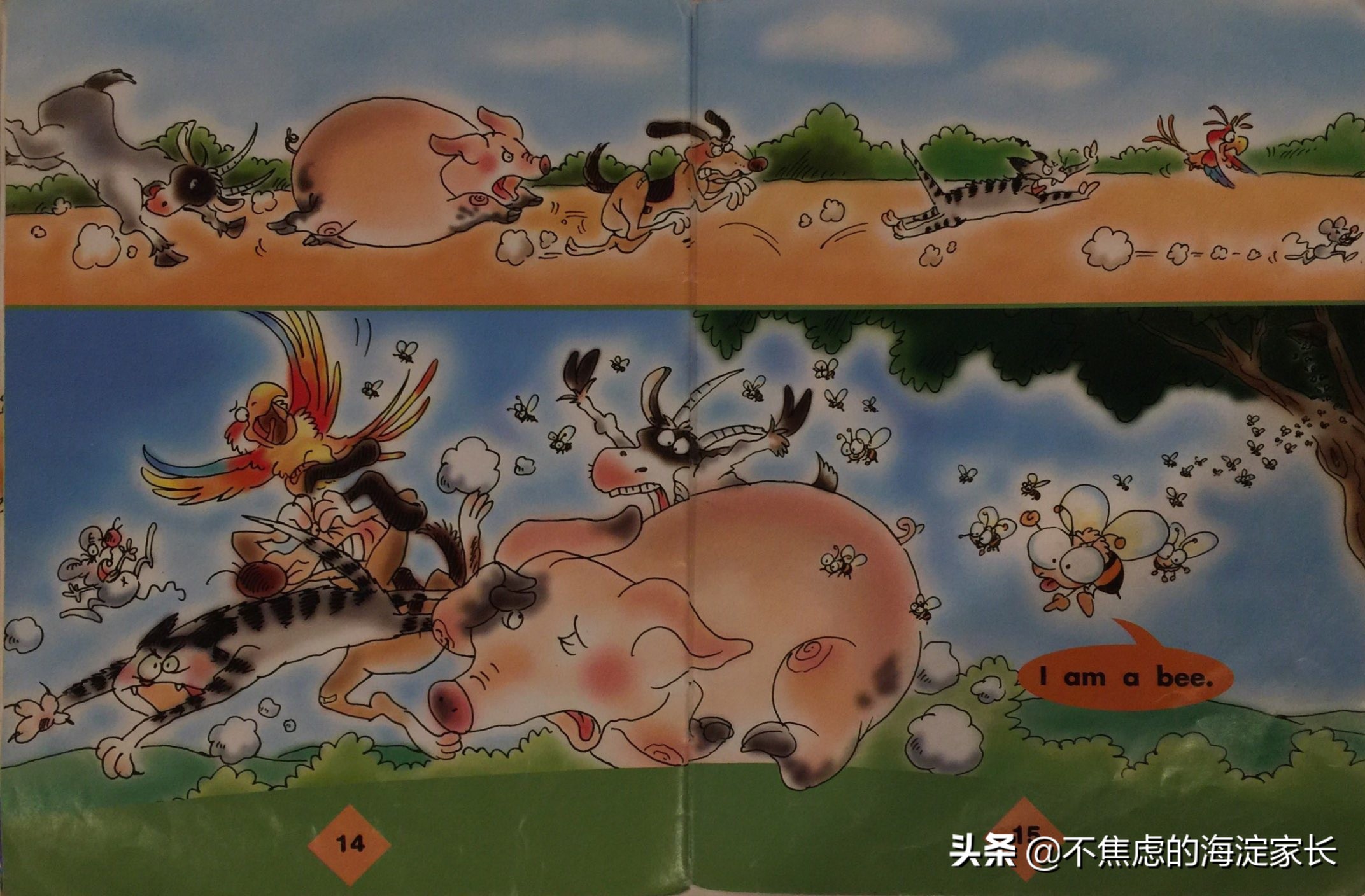 新西兰小学二年级课后读物,新西兰小学阅读书籍