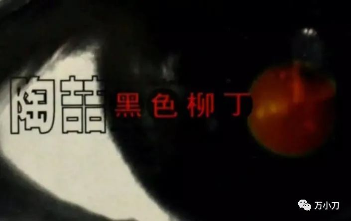 陶喆情史完整视频,陶喆万花丛中过