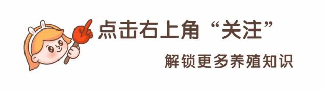 吃了驱虫药依然排出虫子,猪场驱虫3大误区