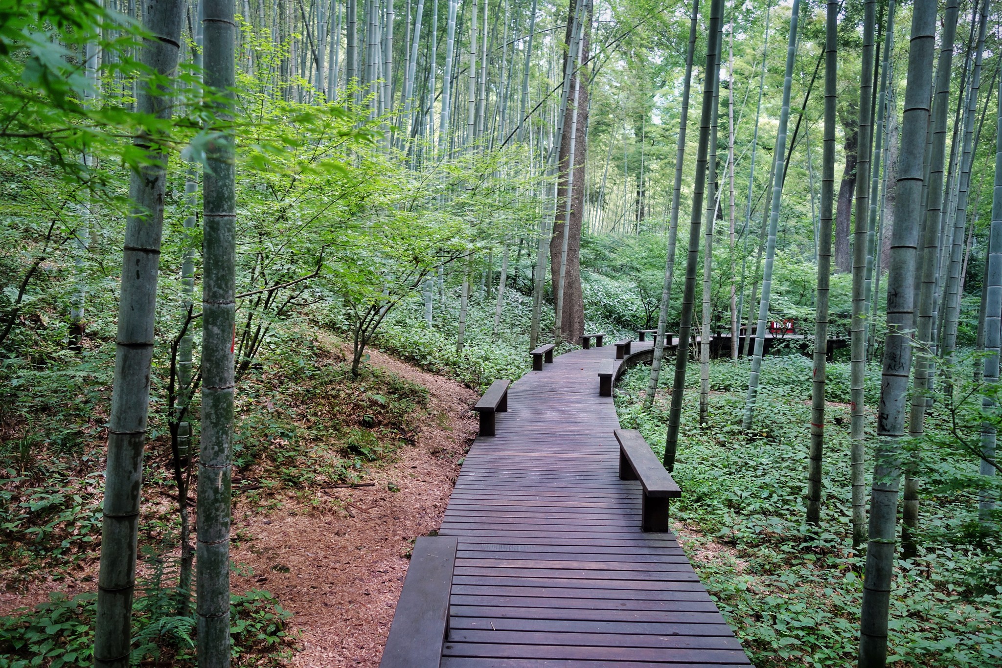 杭州隐藏的小众景点,杭州西湖摄影的最佳位置