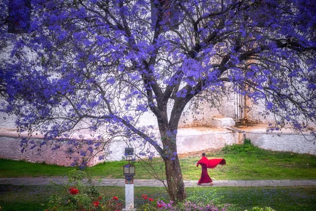 中国最没被认全的邻居,我国未被识别的民族有多少