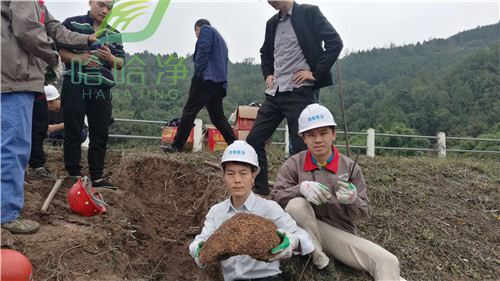 重庆白蚁的消灭方法,重庆沙坪坝灭白蚁公司电话