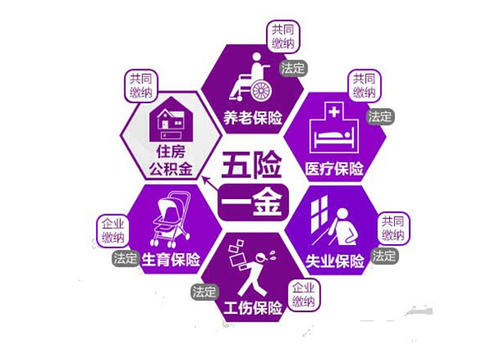 蚂蚁hr个人社保代缴费用,蚂蚁代缴社保