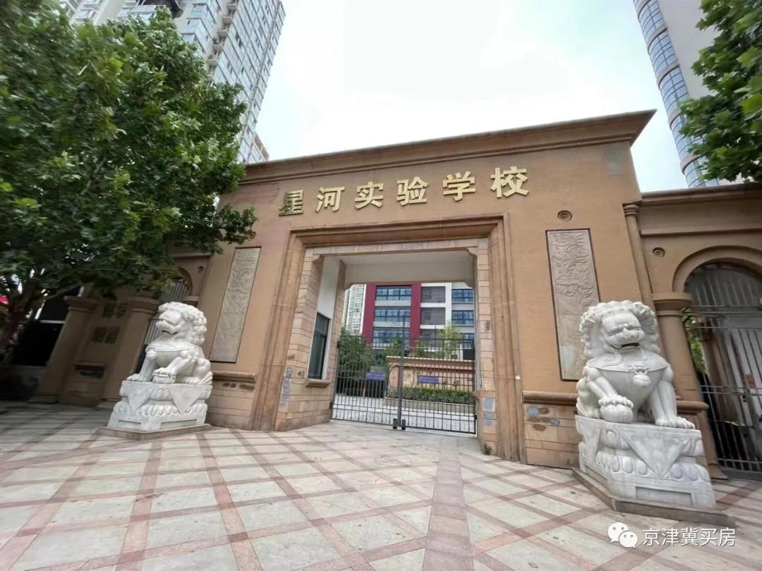 朝青2018年价格,朝青价格走势