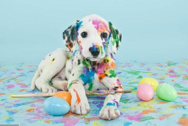 美工专业薪资,美工为什么工资那么高