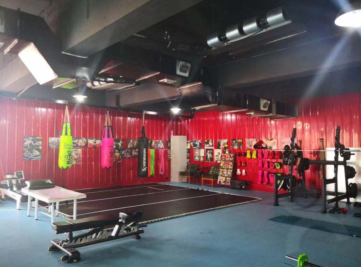 大连阿瑞思健身视频,创新健康健身训练营