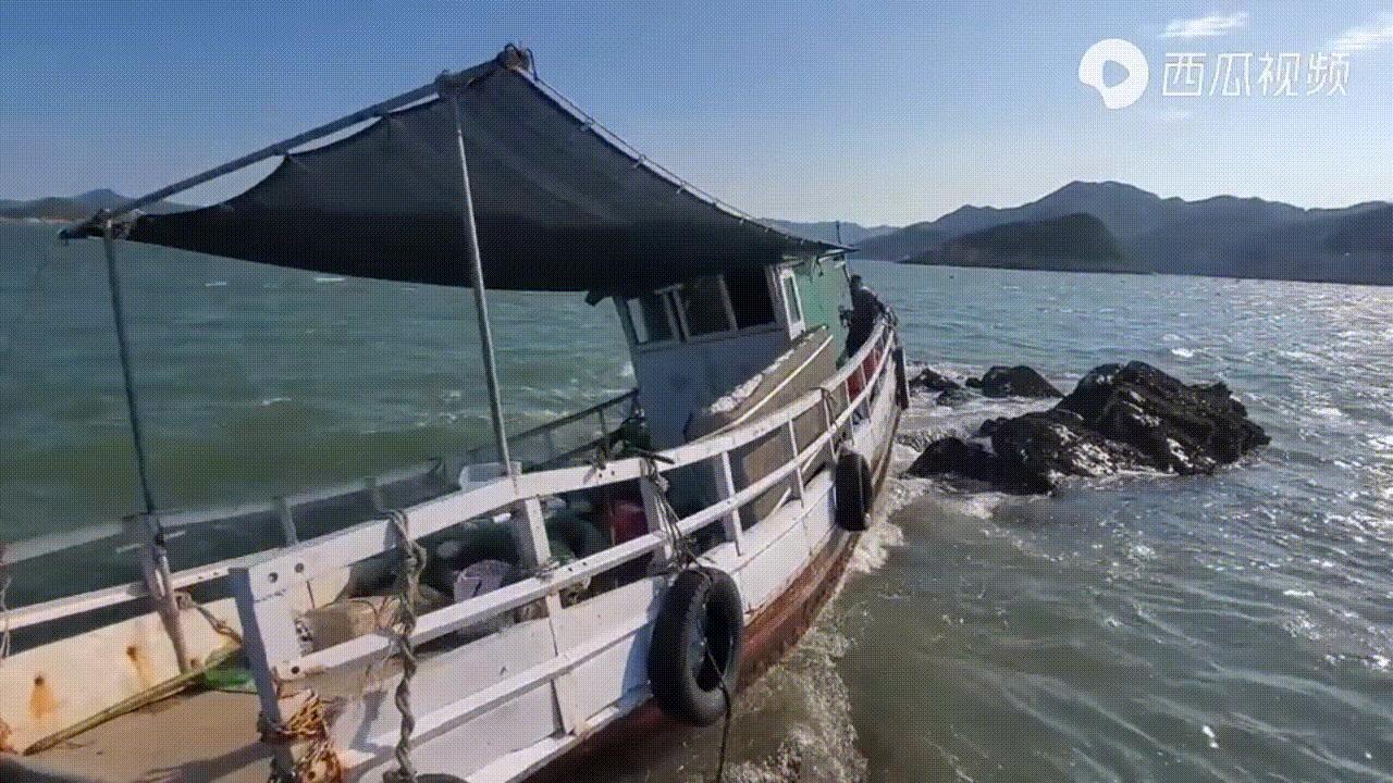 福建小伙抽干几百个水坑，带300万网友体验海边“开盲盒”