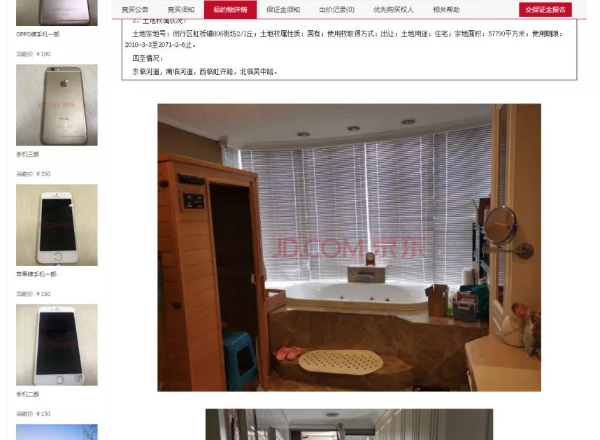 法拍房公告信息在哪里看比较详细,法拍房的公告里究竟有多少陷阱