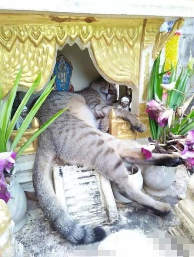 我，我让你买一斤你敢答应吗？