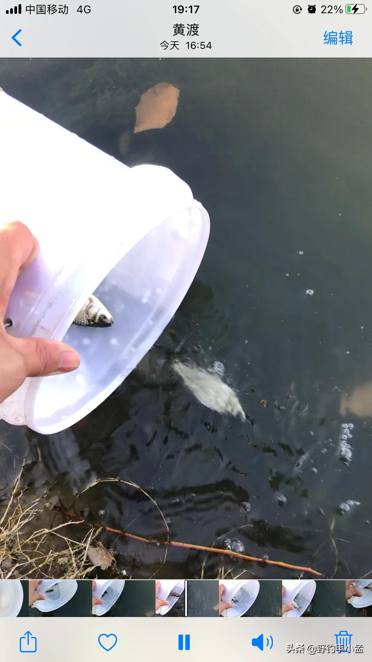 贼喊抓贼,是谁断送了野钓资源?有些钓鱼人要长点心吧