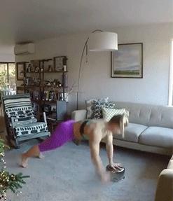 练人鱼线马甲线和鲨鱼肌,鲨鱼线人鱼线马甲线