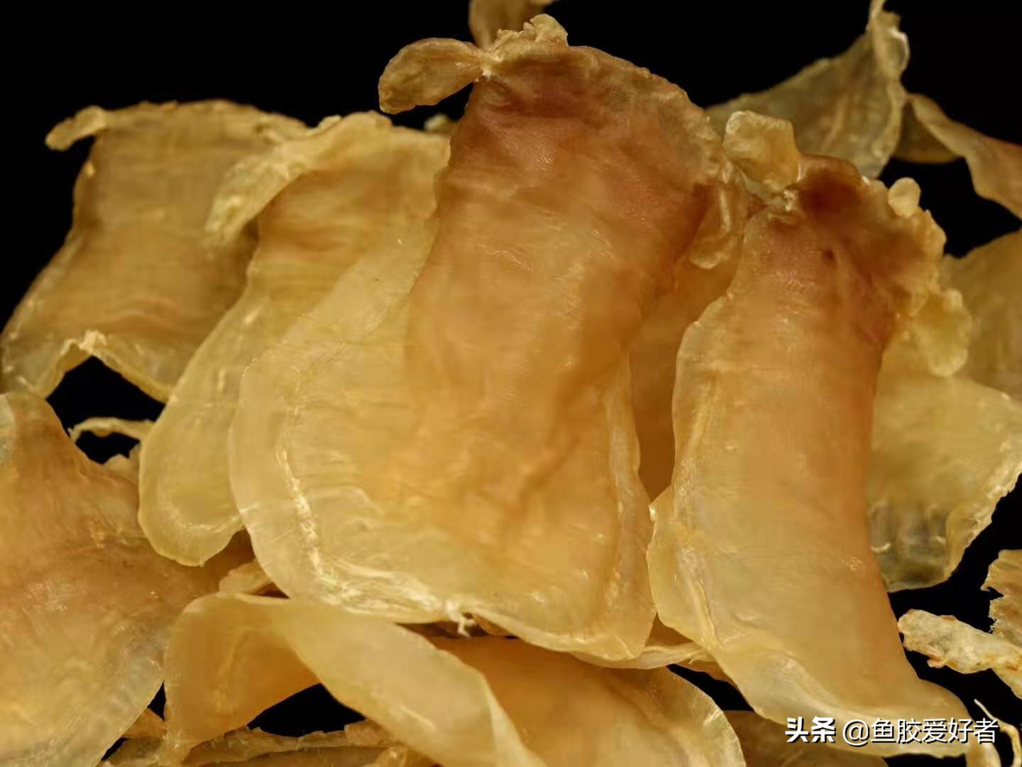 最好的赤嘴鳘鱼胶,赤嘴鳘鱼胶为什么薄薄的