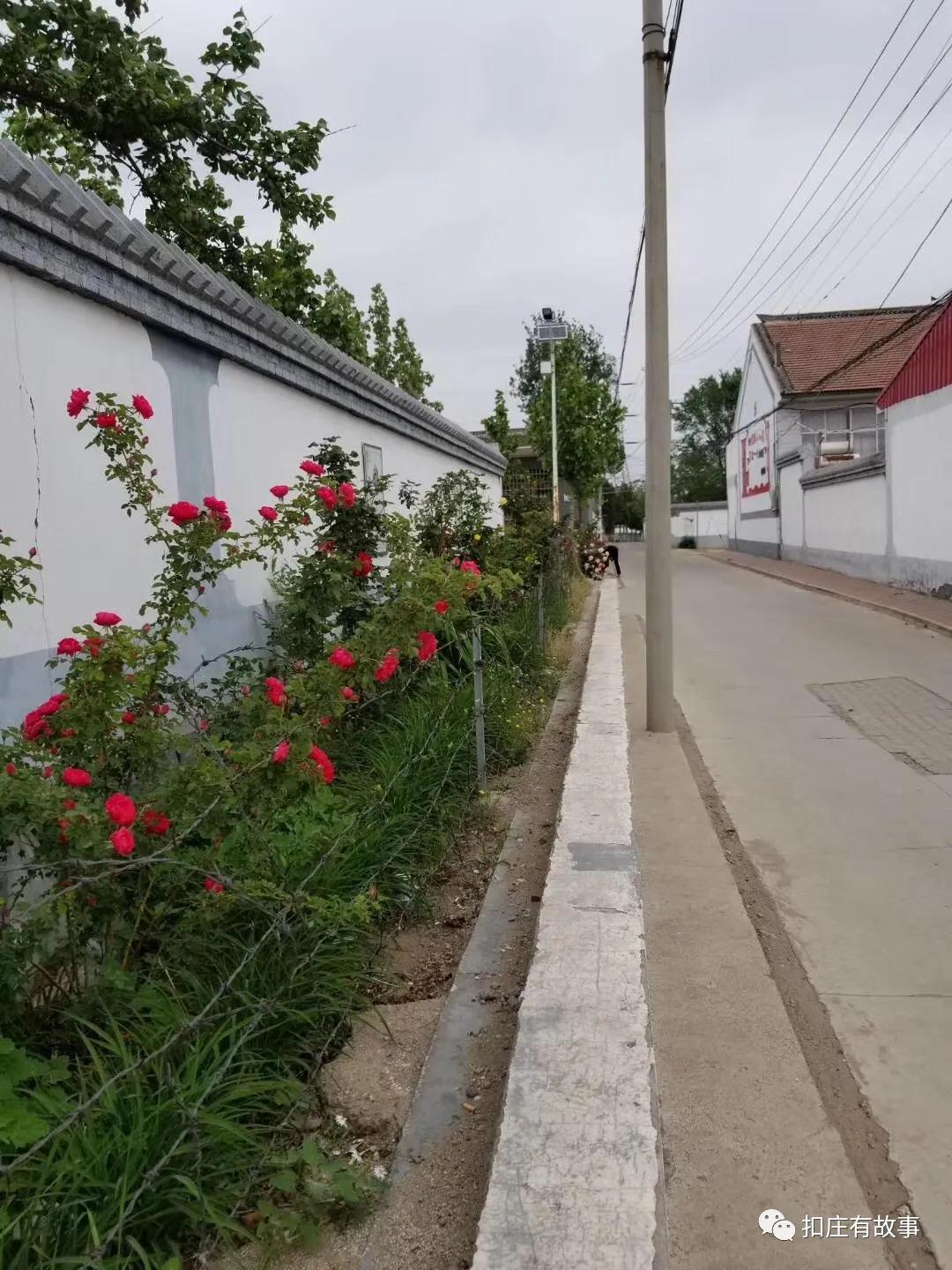 唐山特色旅游区,唐山榛子镇美丽乡村