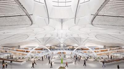 凤凰展翅，飞向未来