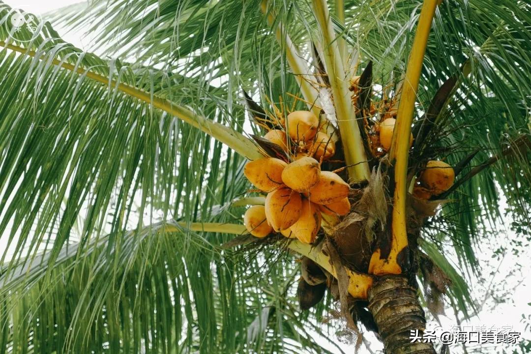 海南万宁兴隆美食攻略,海南万宁兴隆镇有什么特色小吃