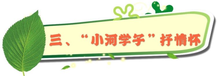 PDC教育，让孩子遇见美好未来——杏花岭区后小河小学