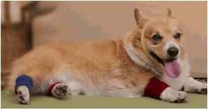 什么样的臀型最难看,什么样的臀型好看