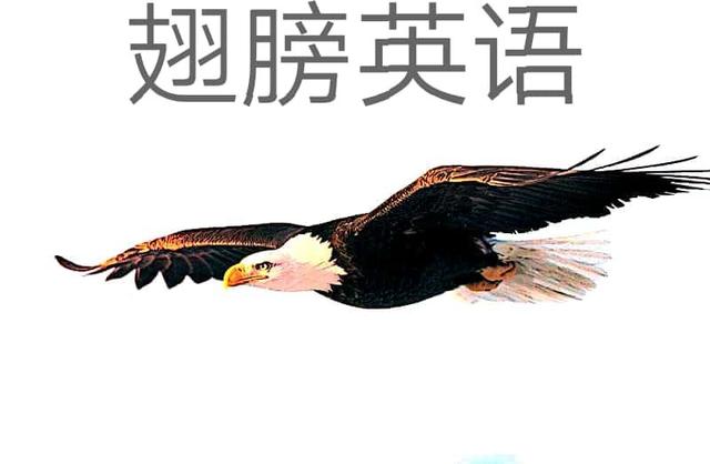 初中英语句型转换教学视频全集,人教版初中英语词汇与句型