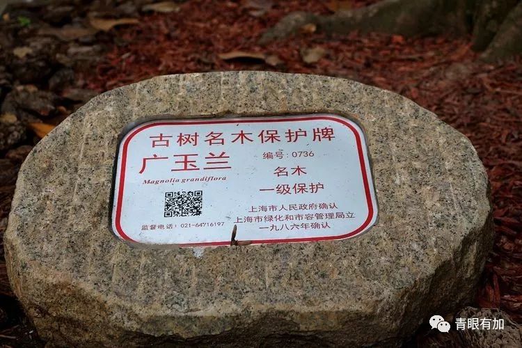 上海黄河路132弄,上海山阴路132弄图片