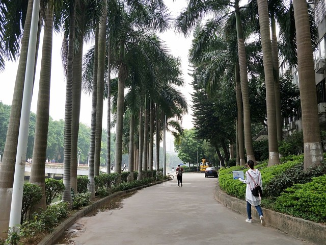 几所不起眼的大学出来就是公务员,几所不是211的大学却发展得比较好