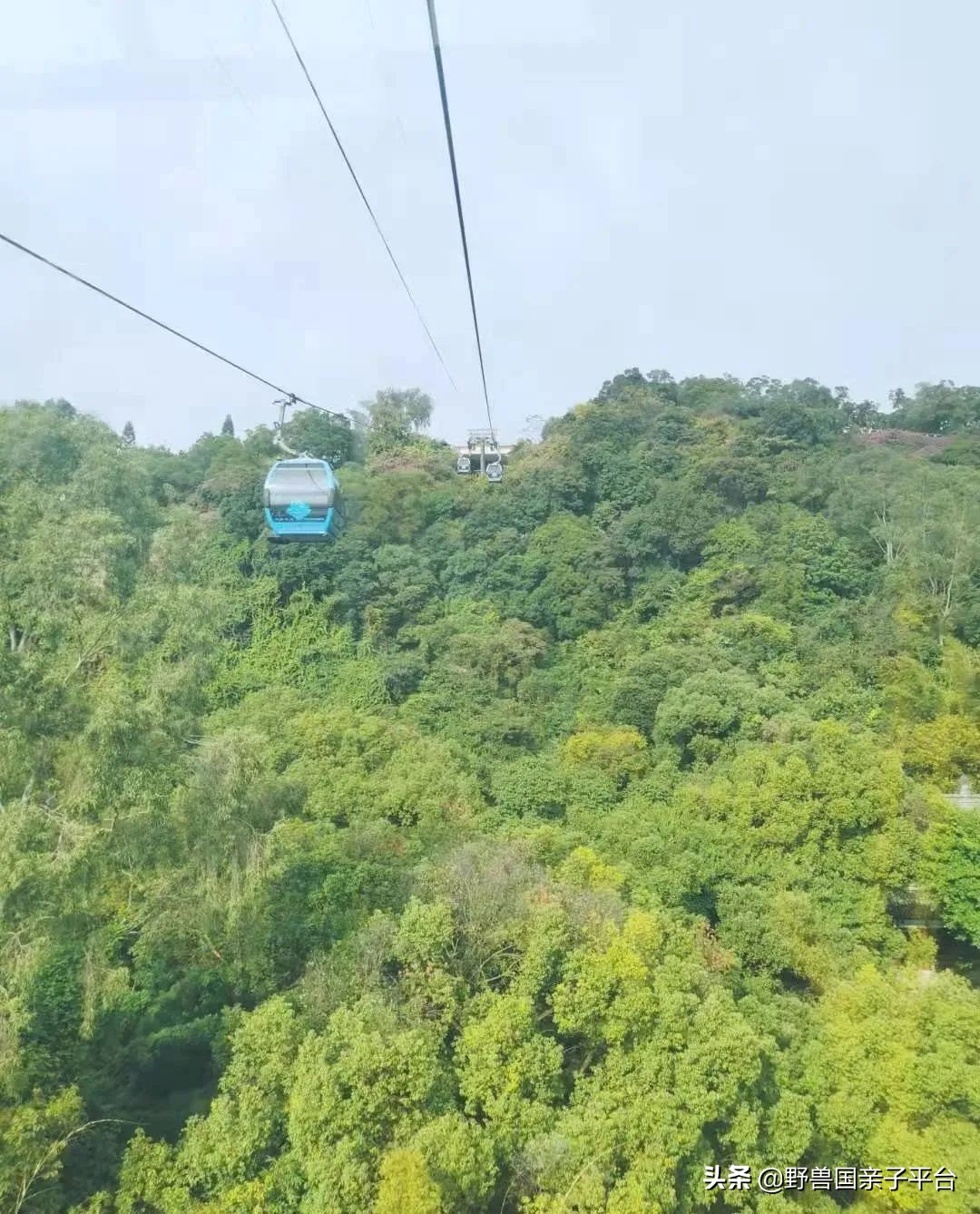 广州遛娃旅游推荐路线攻略,广州遛娃清单升级版