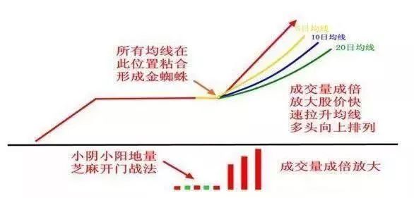 金蜘蛛选股公式解读,金蜘蛛选股源码
