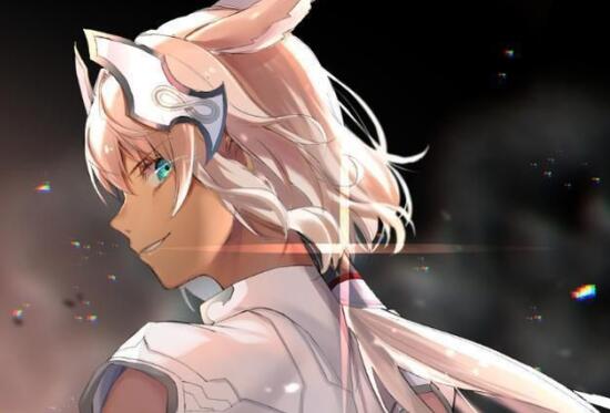 fgo日服最值得练的五星从者排名,fgo从者强度推荐