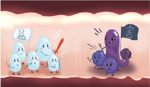 肠道菌群影响大脑,肠道菌群与大脑