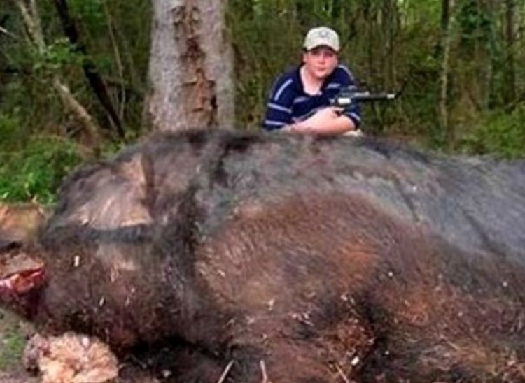 如果猪一直养能长到多少斤,猪一直不杀能养到多重