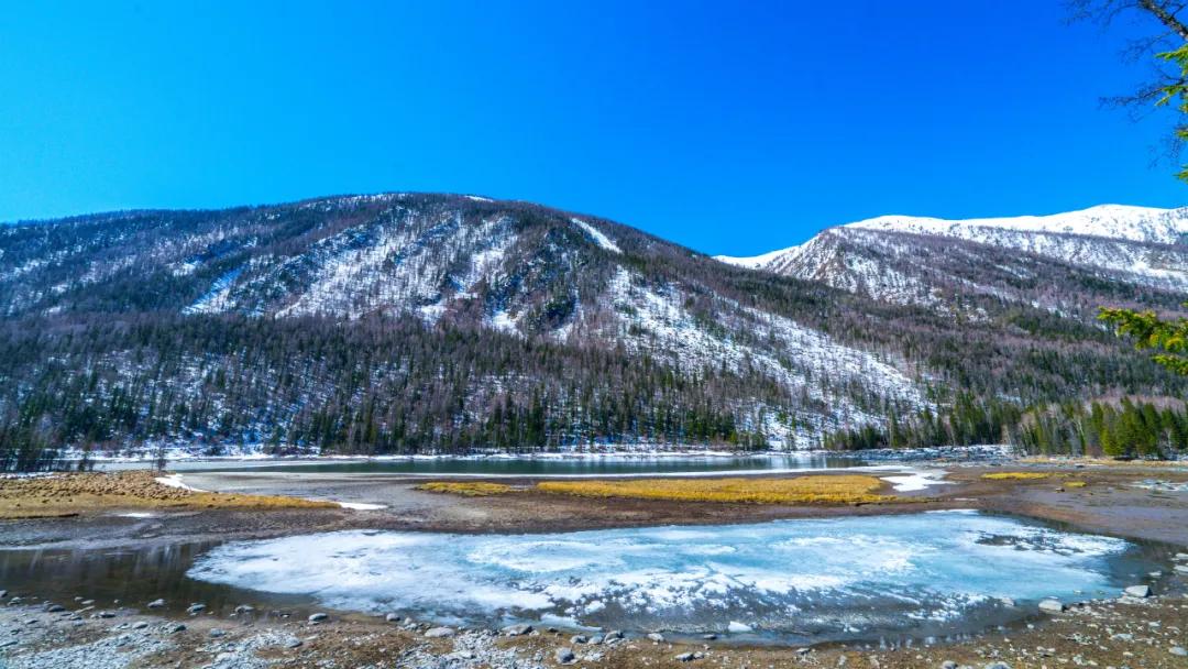 12篇微小说短到极致却催人泪下,十二篇微小说完整版